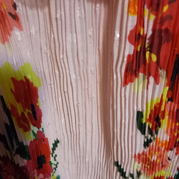 𝅺NWT Anthropolgie Foxidox Floral Accordian Pleated Dress - Picture 10 of 14